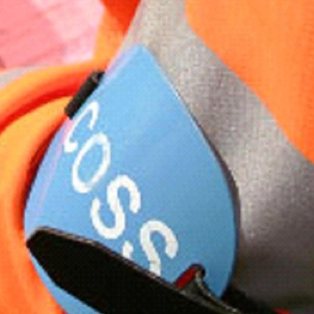 Controller of Site Safety (COSS)